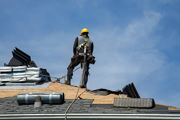 Professional Roof Replacement technician working in Holland, TX